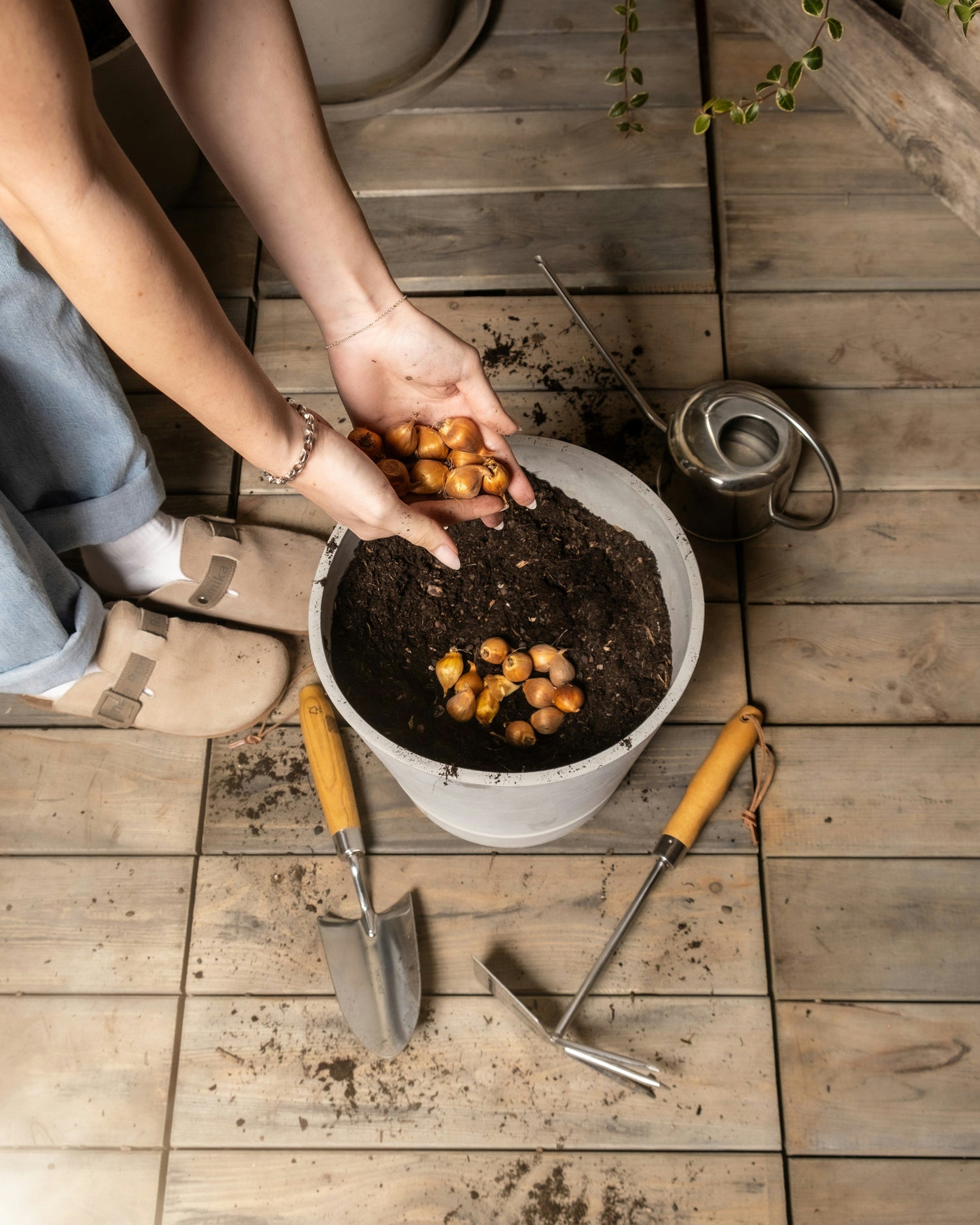5 fouten die bijna iedereen maakt bij het planten van bloembollen