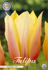 smartbulb:80515