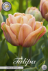 smartbulb:80735