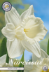 smartbulb:82065