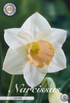 smartbulb:82090