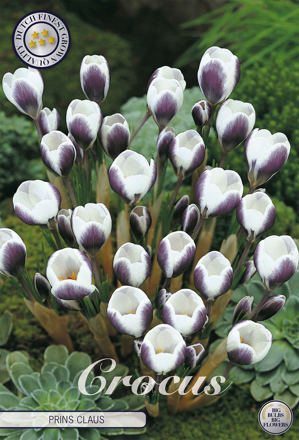 smartbulb:84280