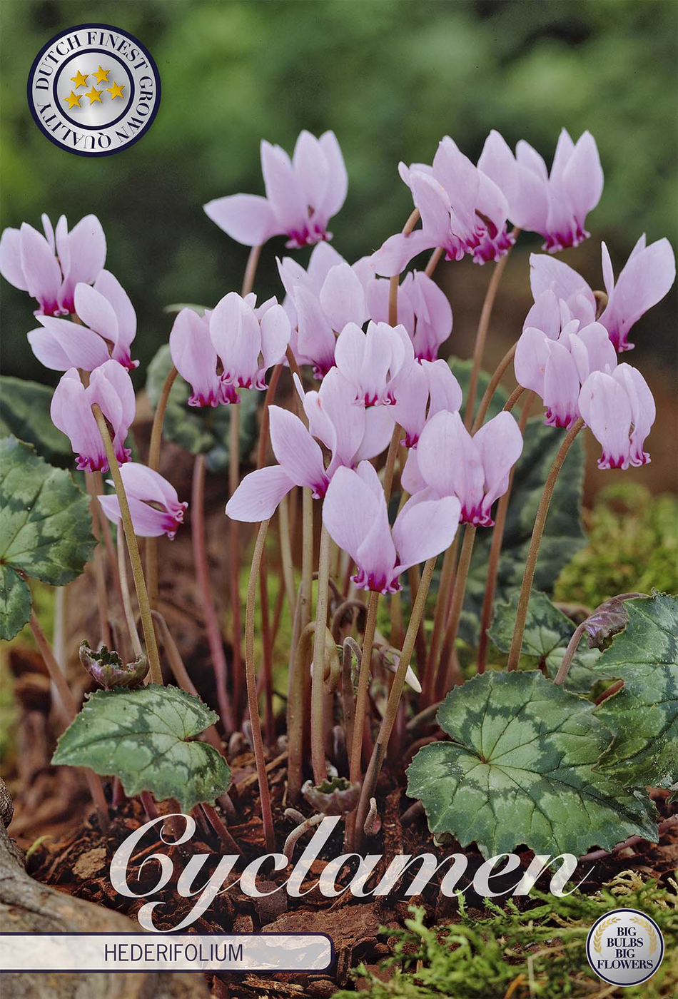 smartbulb:84350