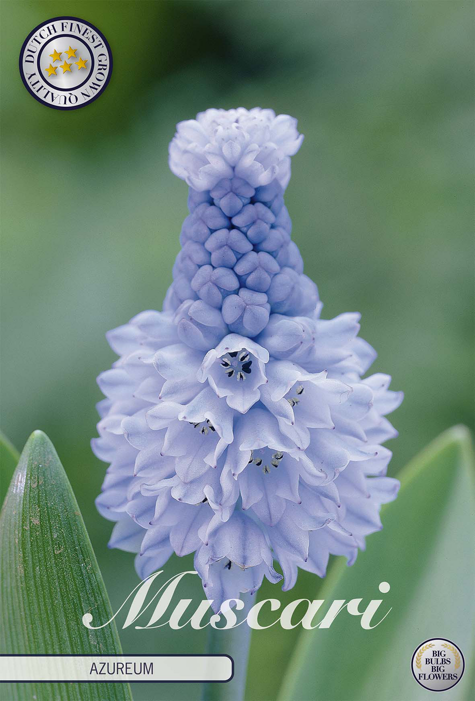 smartbulb:84635